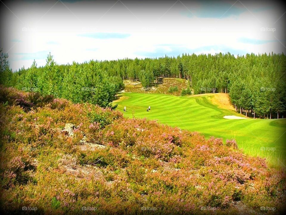 Beautiful Idre golf course in Sweden 