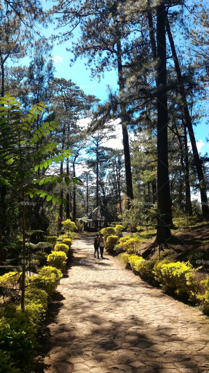 lovers in the garden