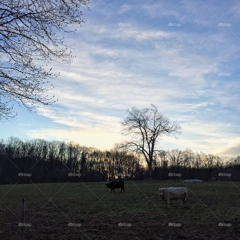 When you are running alone and then feel like you're being watched...... 