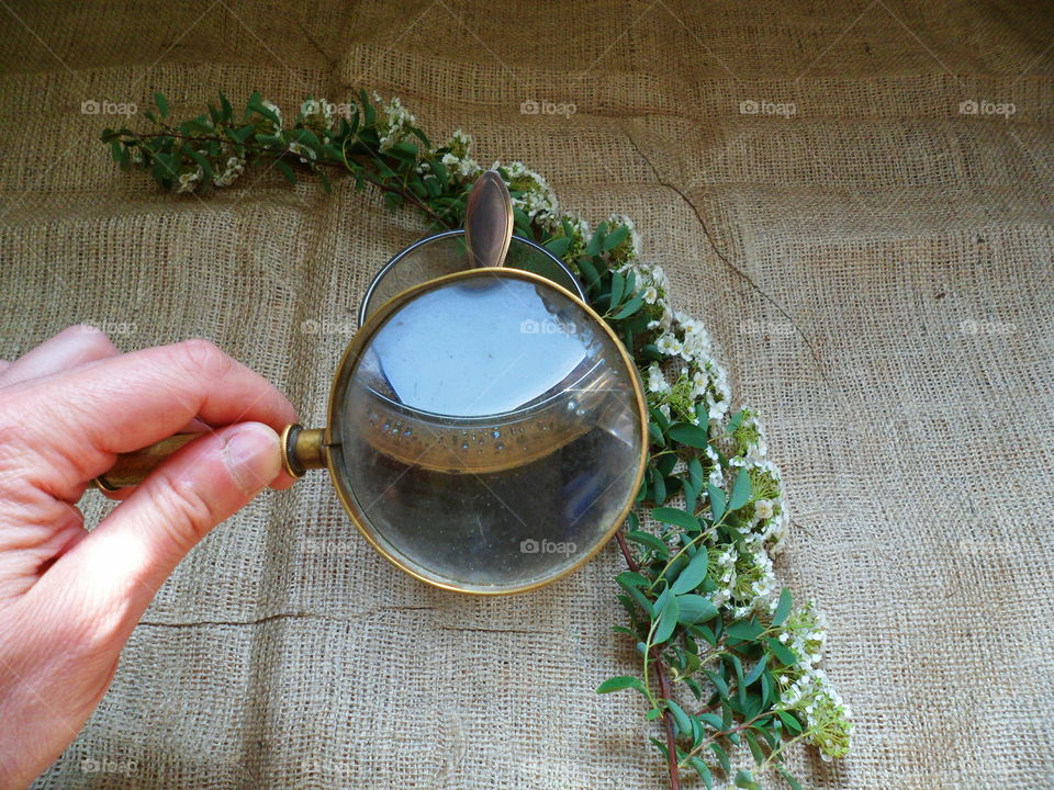 Cup of coffee and a bouquet of flowers under a magnifying glass