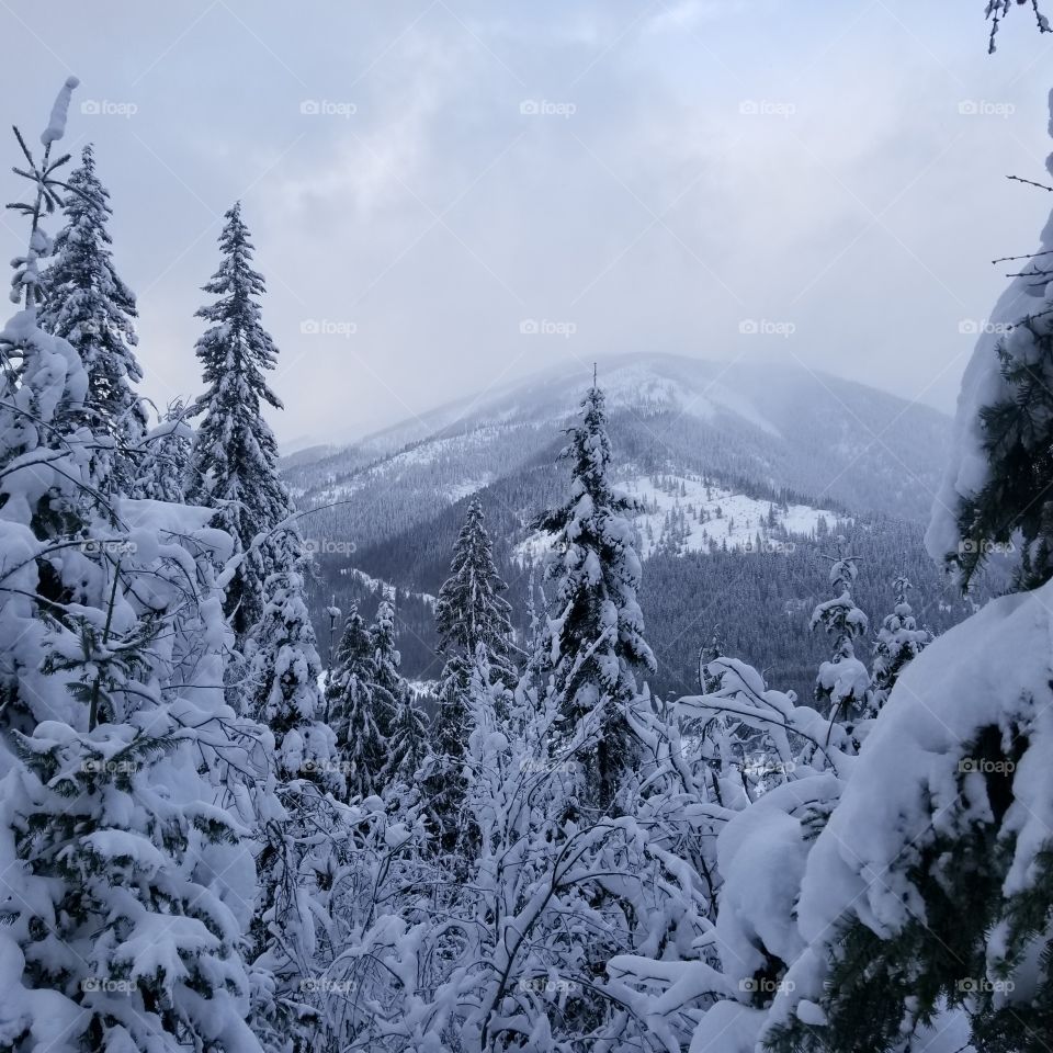 mountain top view after a snow storm