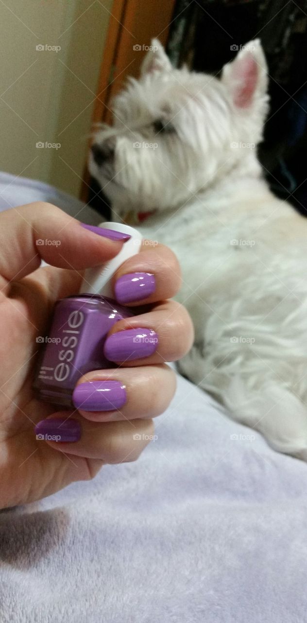pretty purple nails and a cute pup