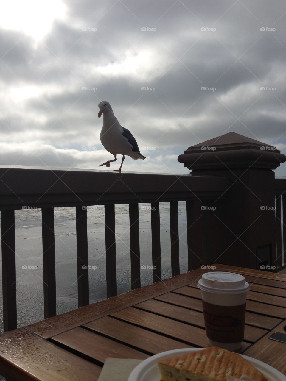 What's For Breakfast?. Monterrey, California 