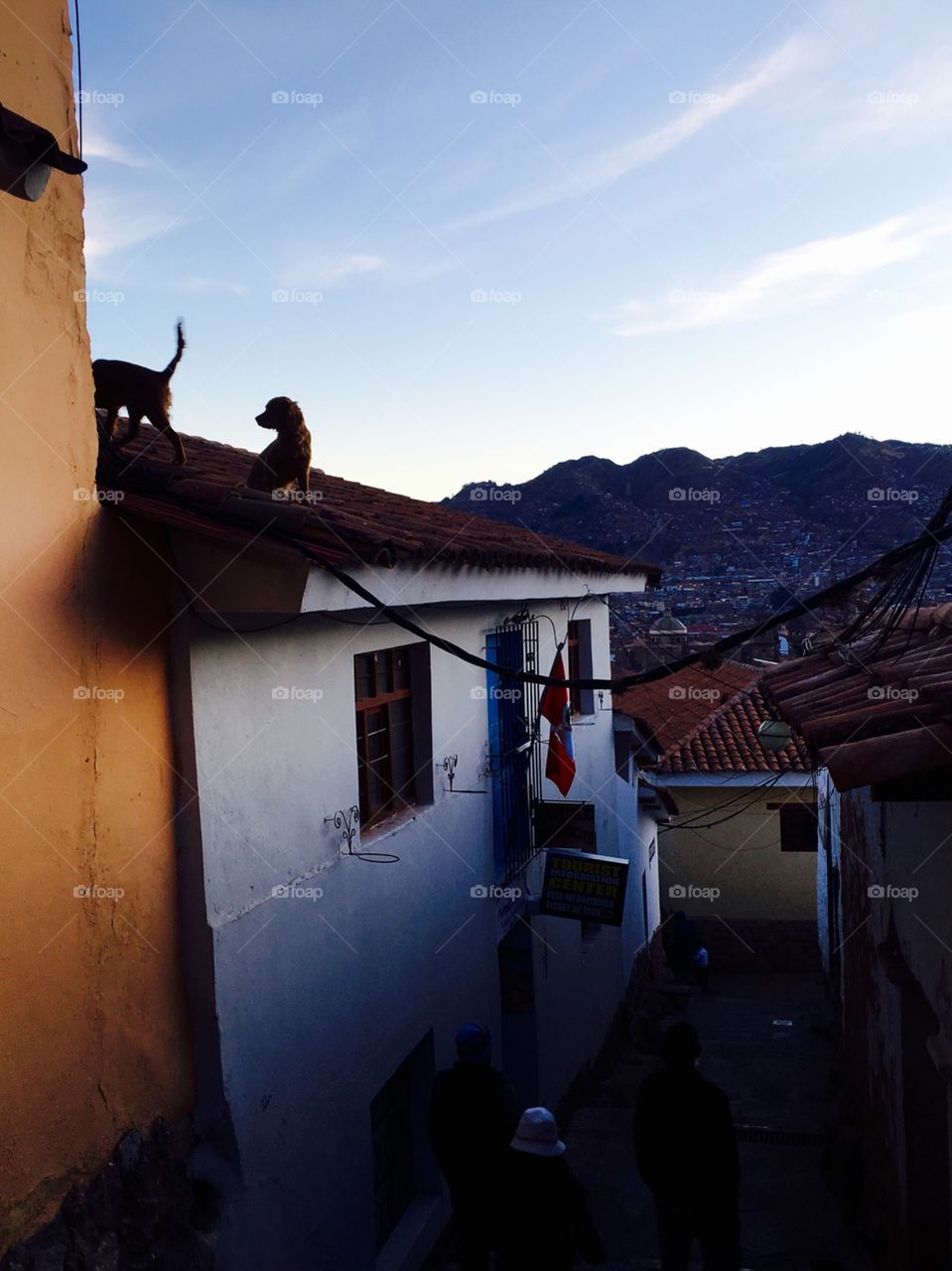 The silhouettes of two dogs on a rooftop in Cuzco just as the sun begins to set. 