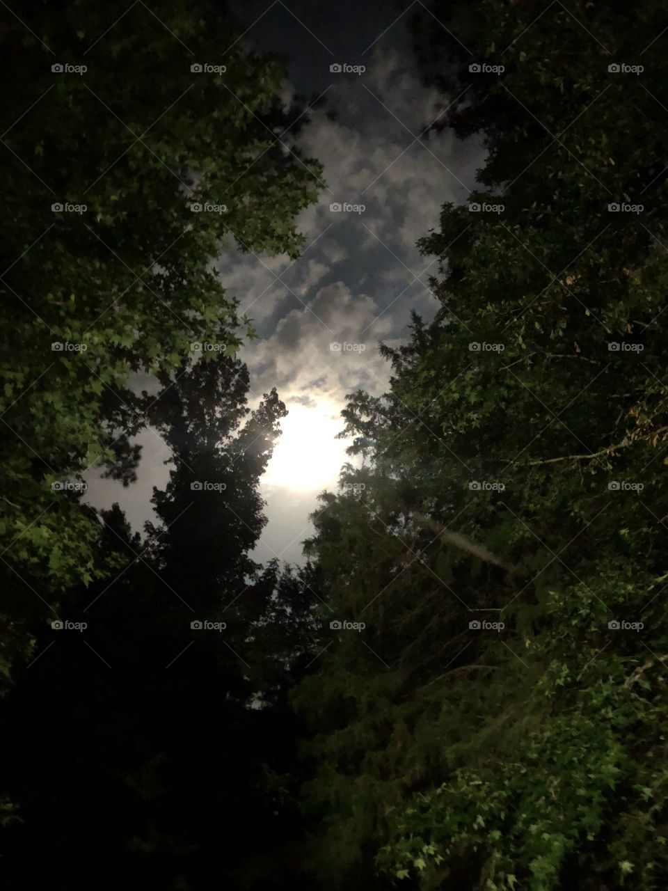 Moon through the clouds