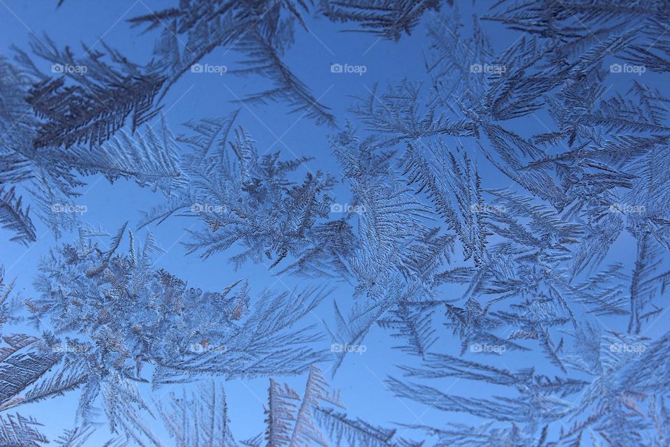 Beautiful formed ice on window