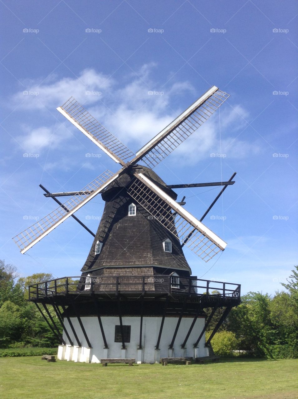 Mill,tree. Mill, tree