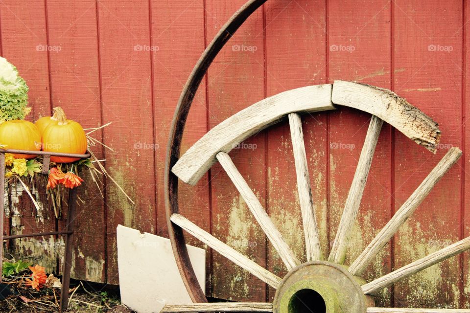 Autumn at the farm