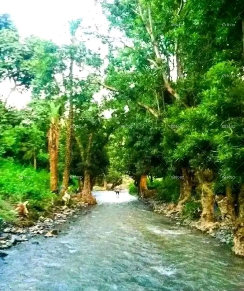 Glory be to God, the magnificent and picturesque view and the natural green trees are a view that is nothing more wonderful than it