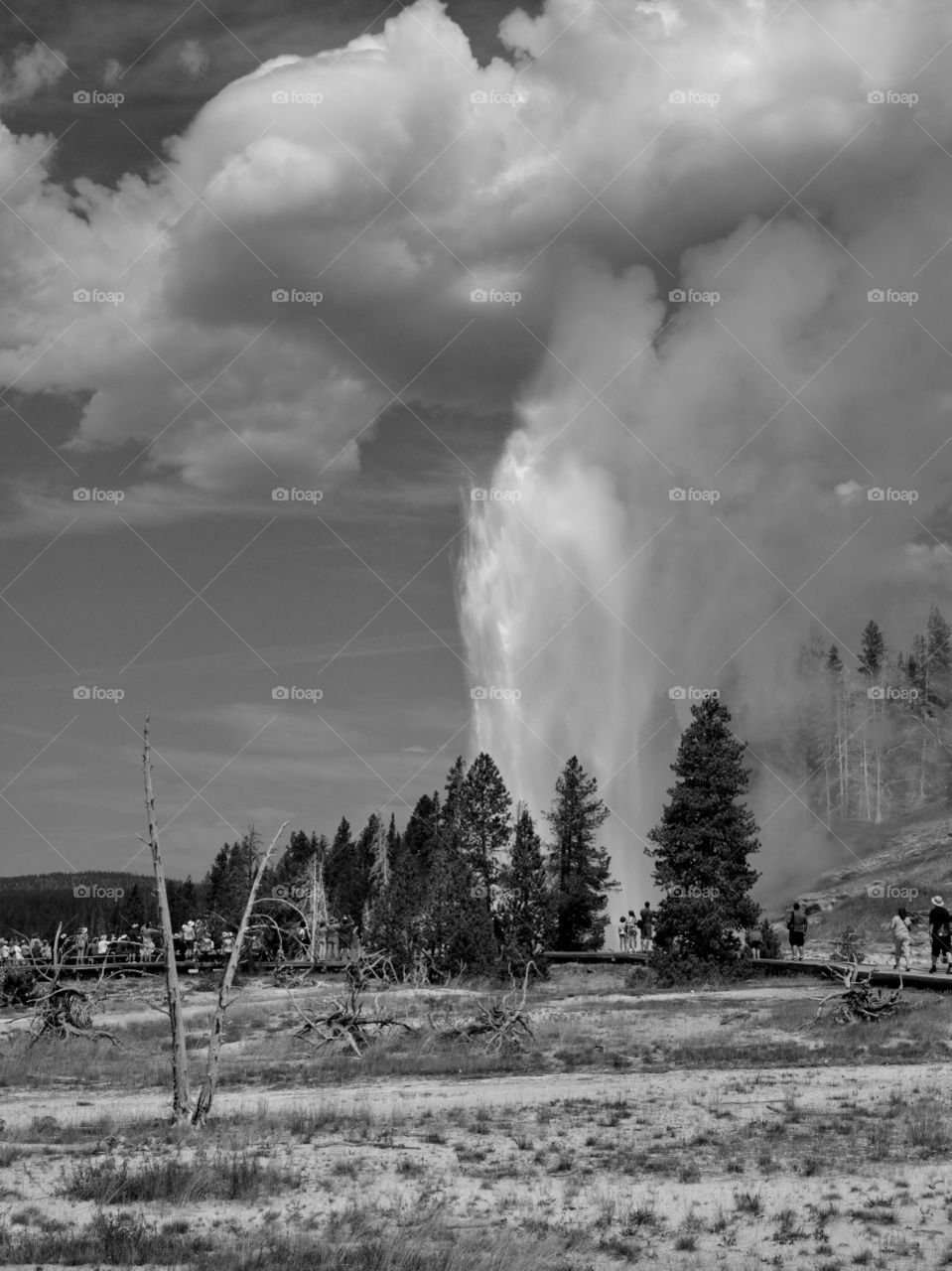 Stunning geology in the unique landscape of Geyser Hill in Yellowstone National Park on a sunny summer day. 