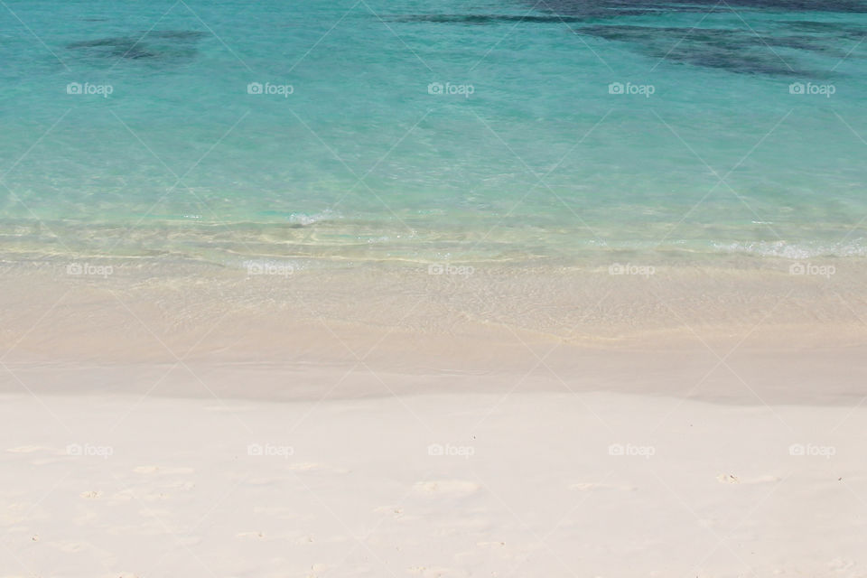 Paradise sandy beach in the Caribbean - turquoise water 