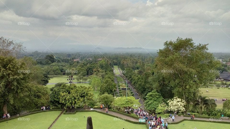 Beautiful Garden