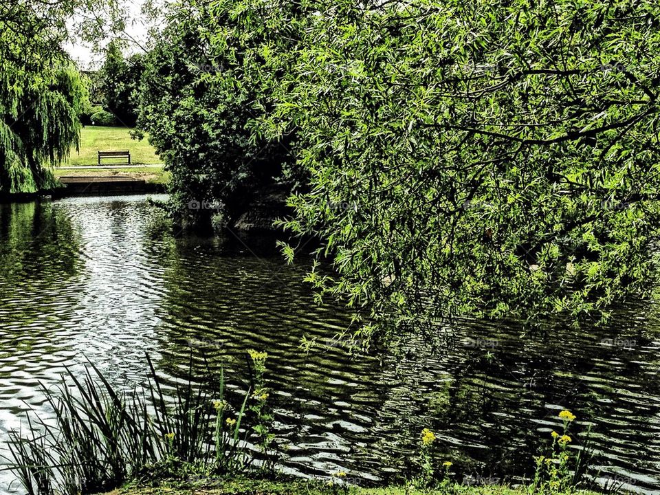 Rippling lake