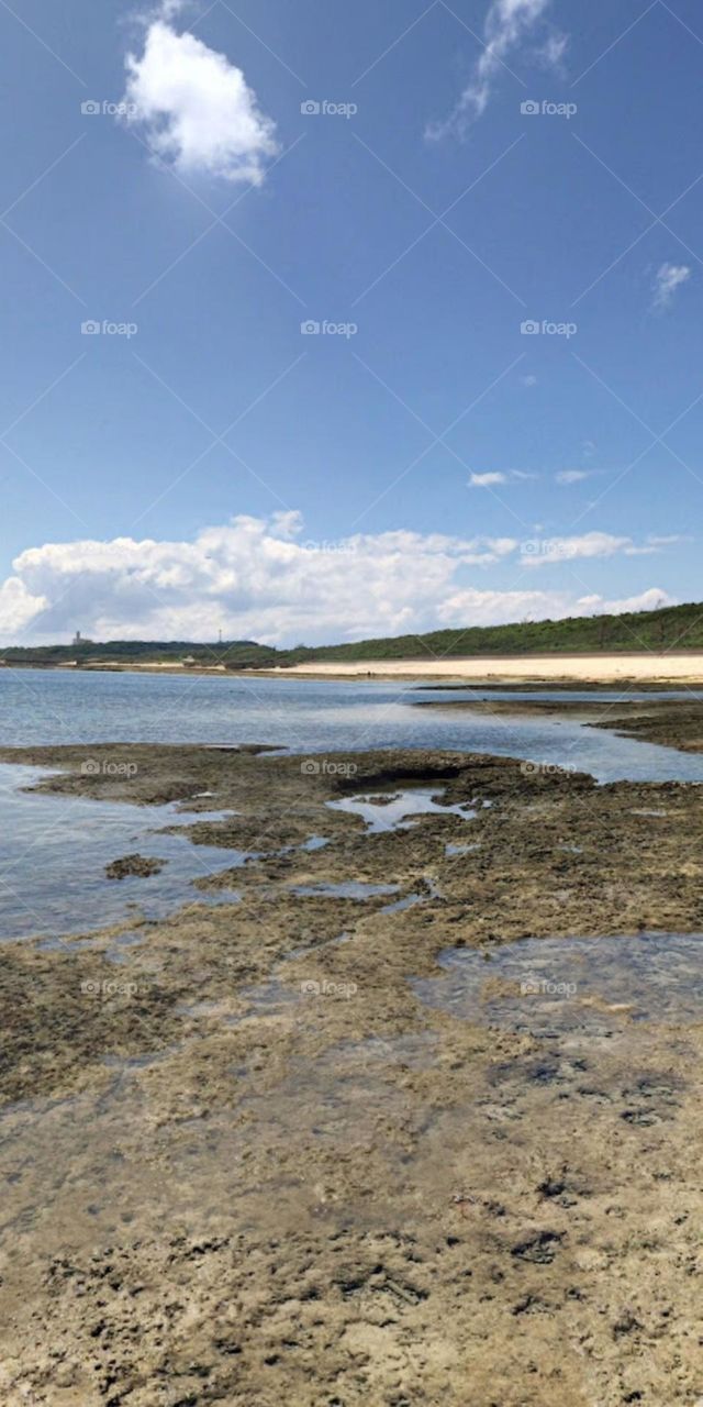 Đi bắt hải Sản.