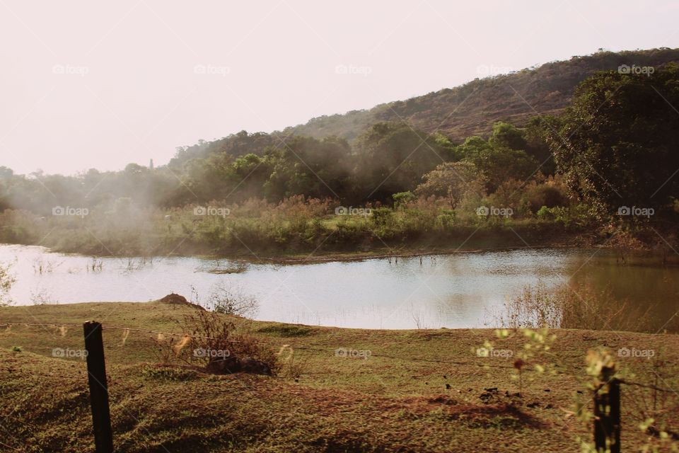 Morning with fog and the orange tone of the pasture