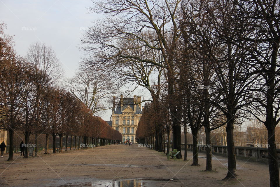 Autumn in the park tuileries