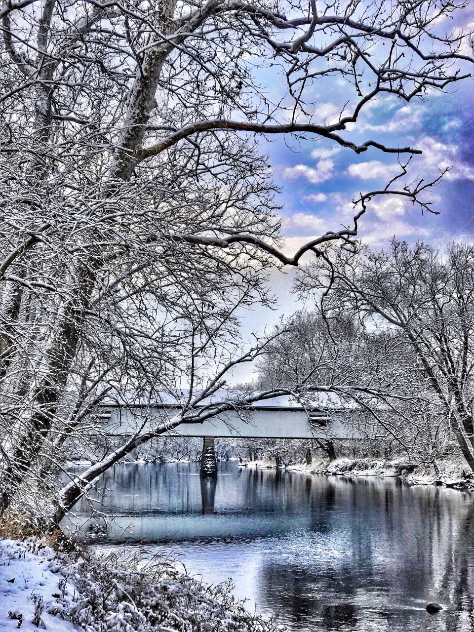 Beautiful winter in Indiana. 