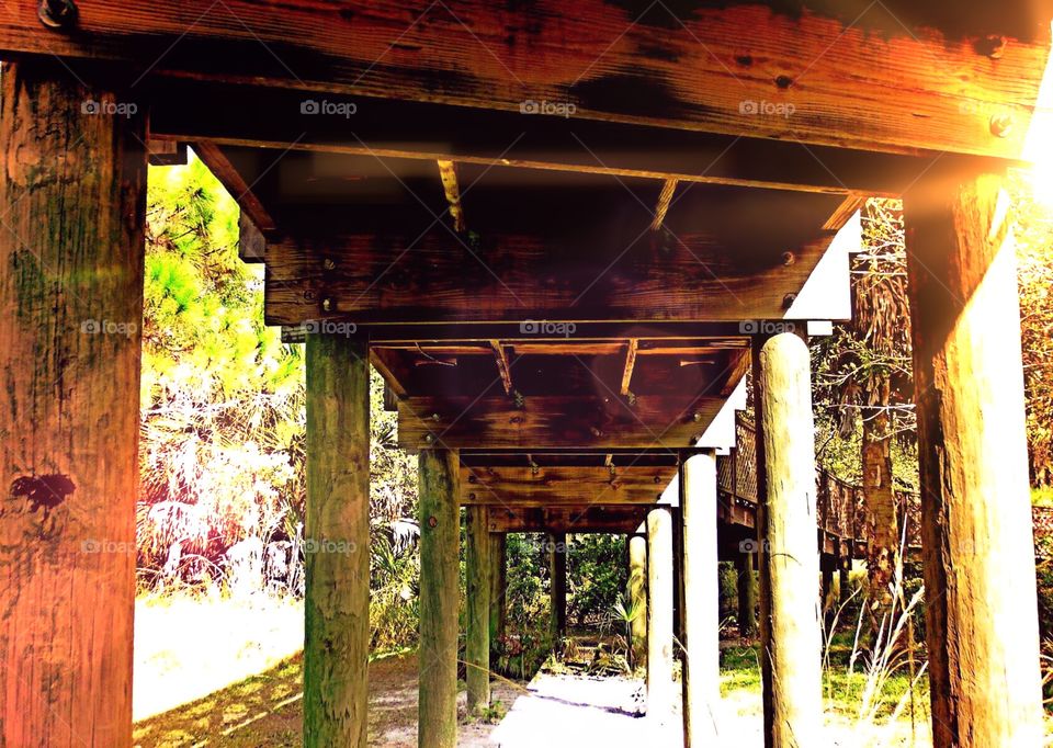 Looking up at the bridge . Looking up at the bridge from below.