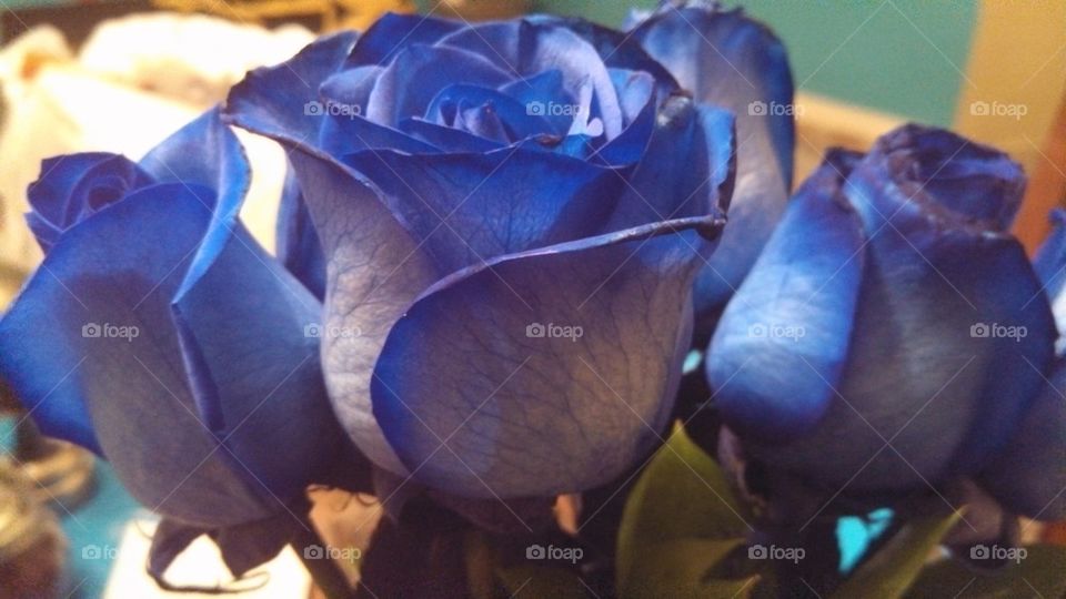 BlueRoses