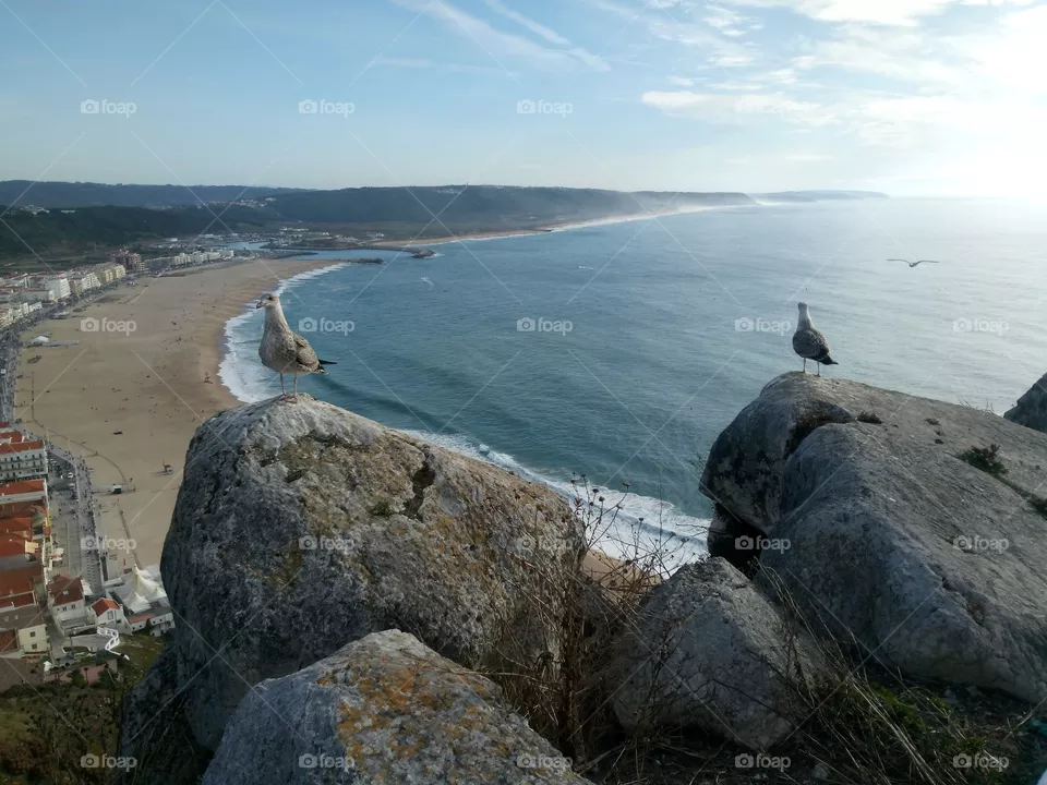 Sea