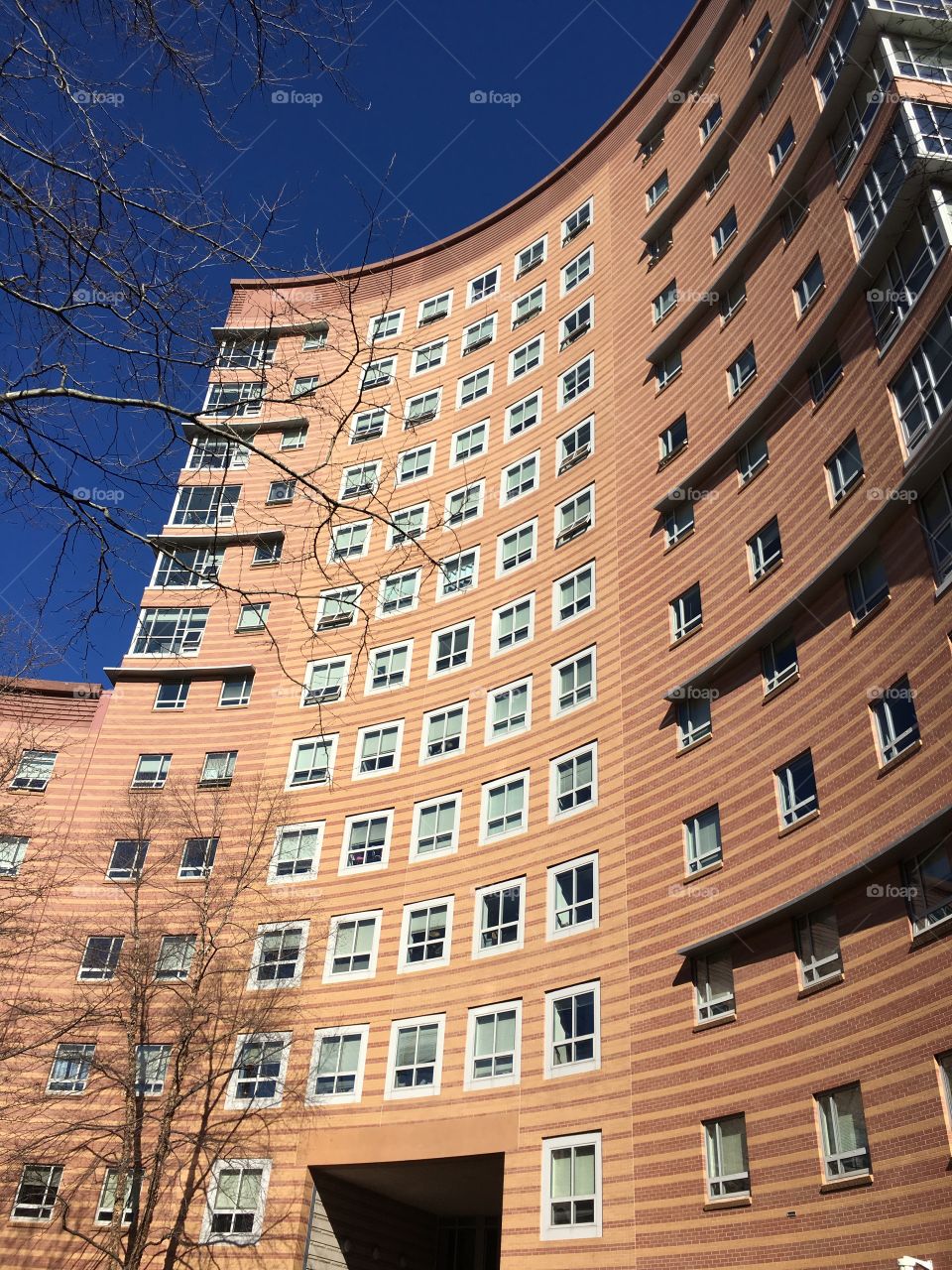 Northeastern University in Boston