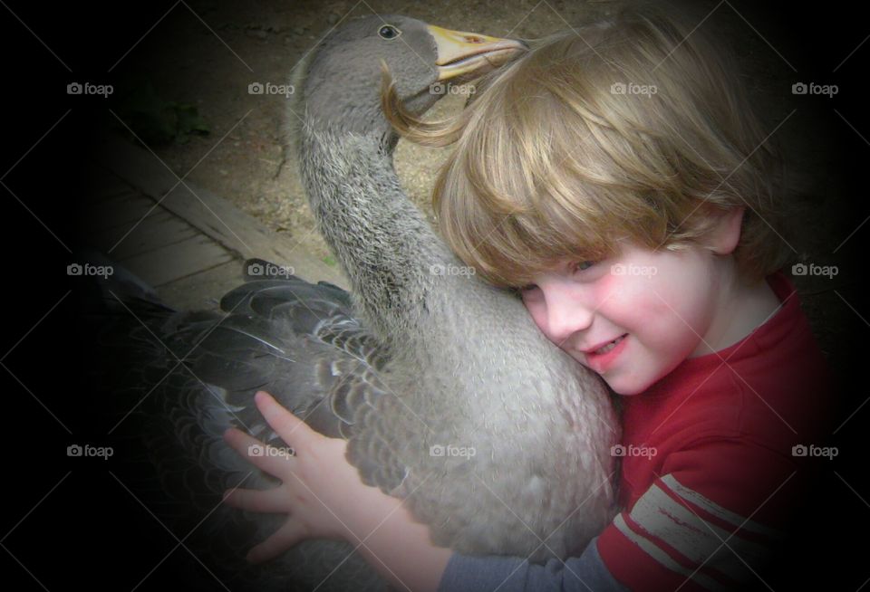 Hugging my pet goose