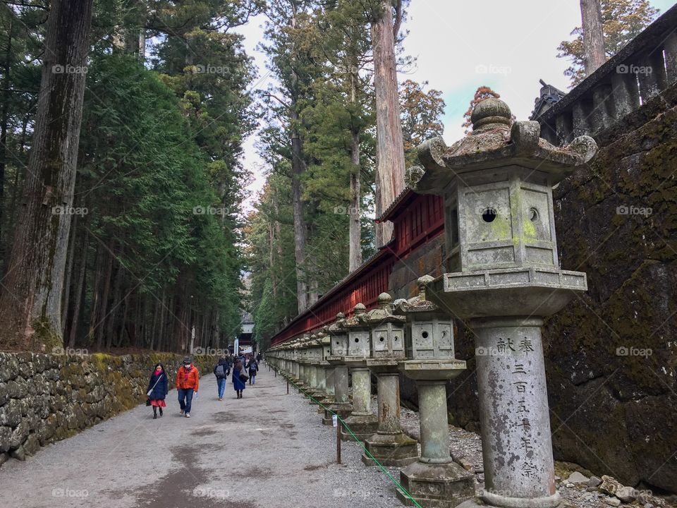 Road to a shrine