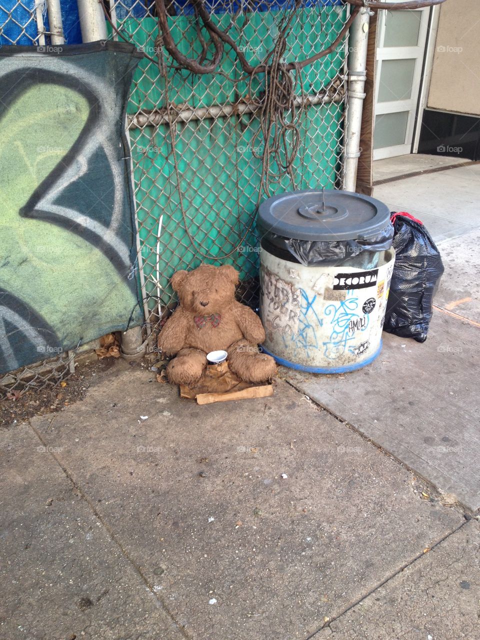 Homeless teddy bear. Brooklyn