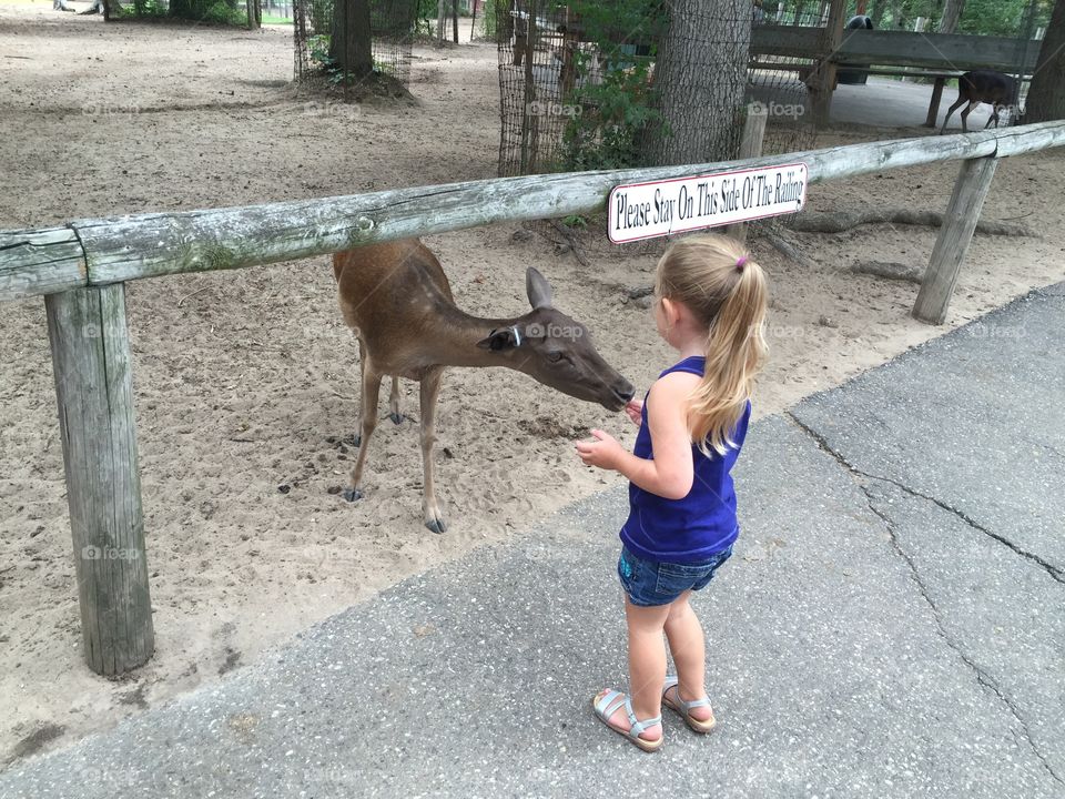Little Deer. Visiting the Wisconsin Deer Park in the Dells.