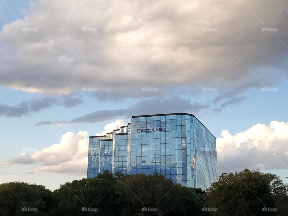 A reflective glass building peering above trees giving the illusion of being up in the clouds.