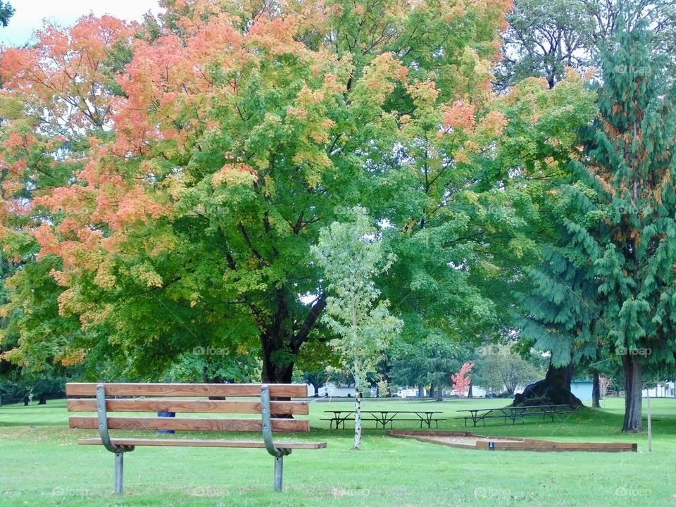 Riverside park bench