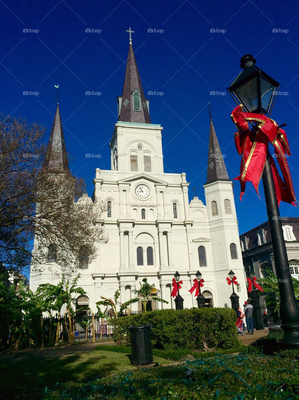 The Bows are up in Jackson Square