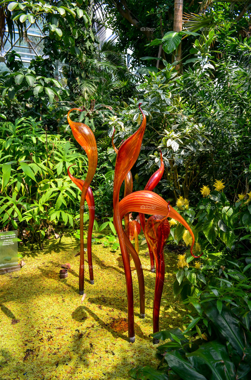 glass display at St Louis Botanical Gardens