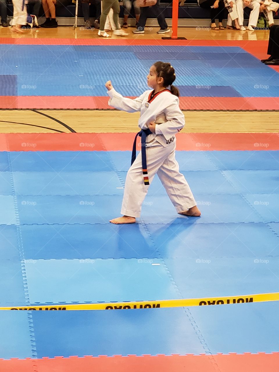 taekwondo form