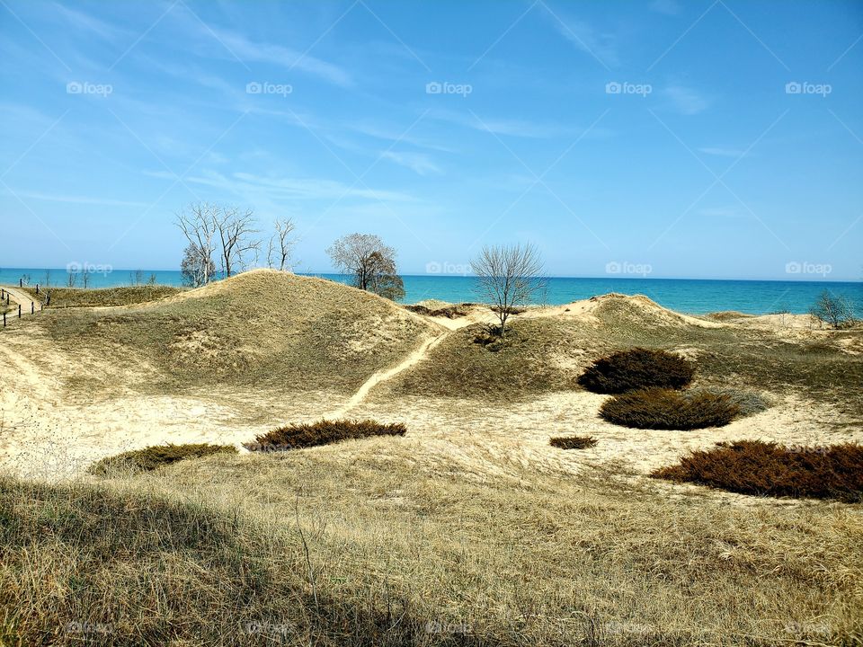 sand dunes