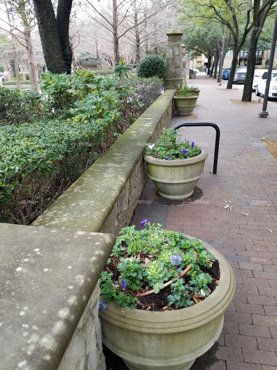 Shops at Legacy Park Plano Texas