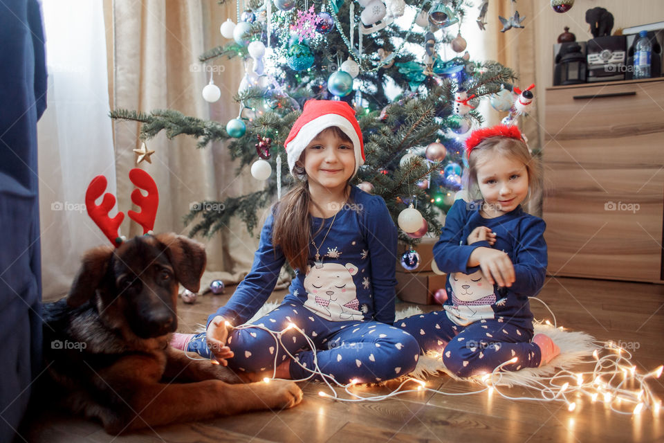 Little sisters with the puppy near Christmas tree