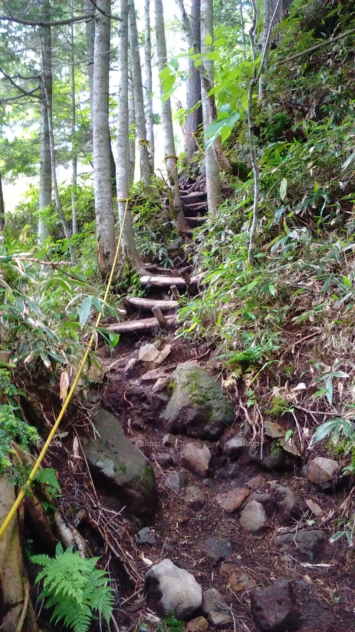 Steep trail