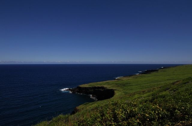 blue green