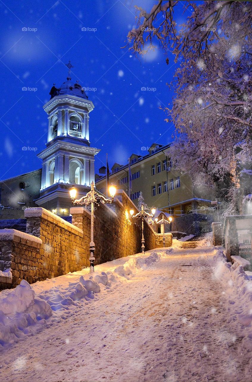 Winter City Landscape