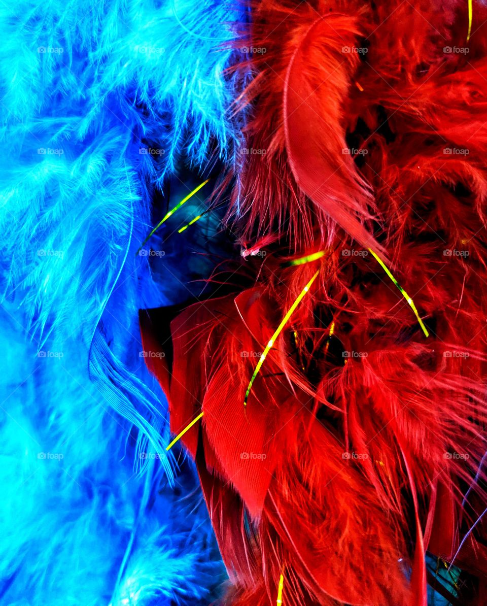 Blue and red color pop