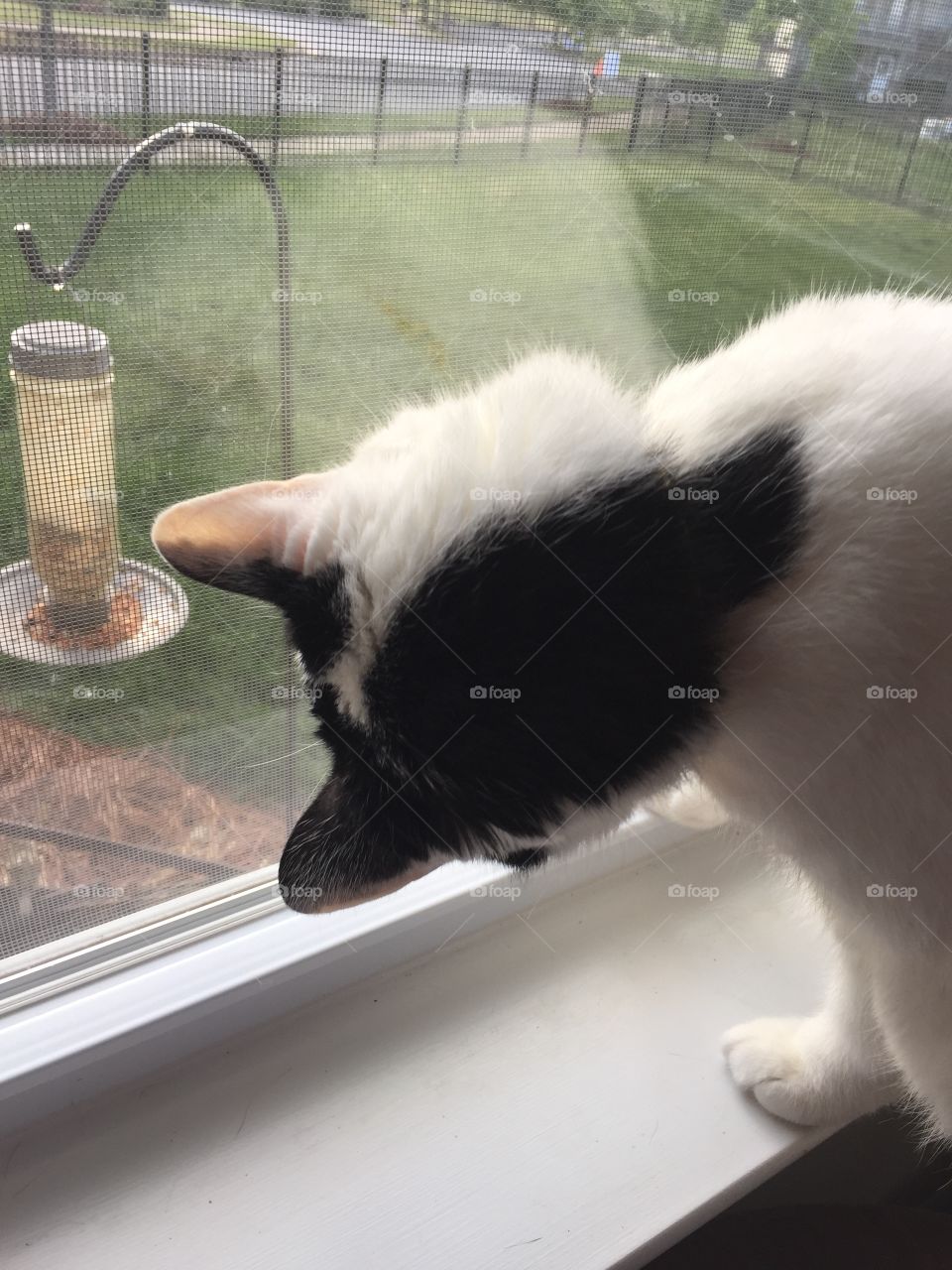 Getting a better view