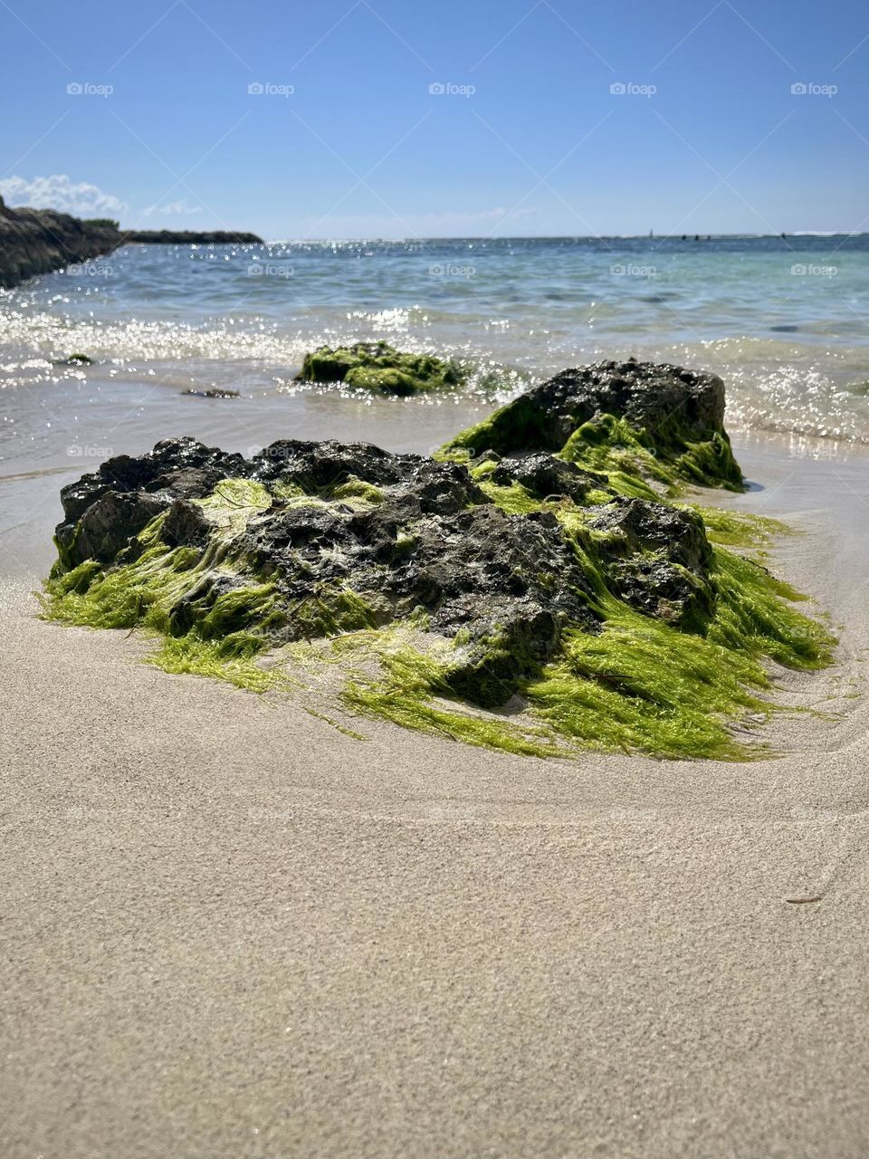 Wild Caribbean beach 