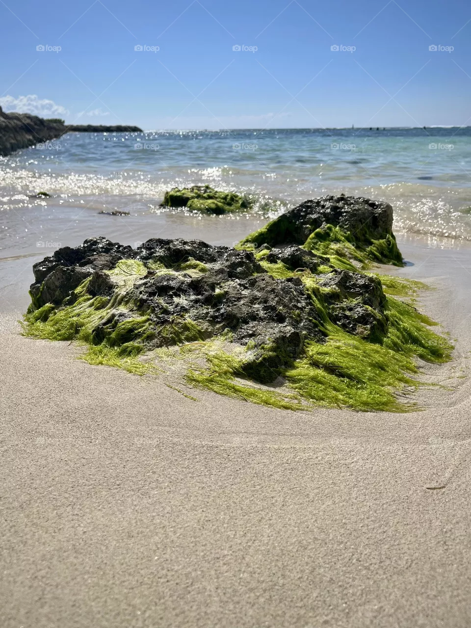Wild Caribbean beach 