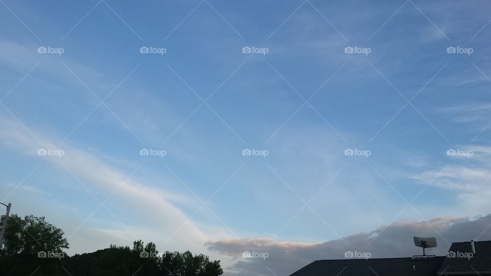 A creature coming out at dusk