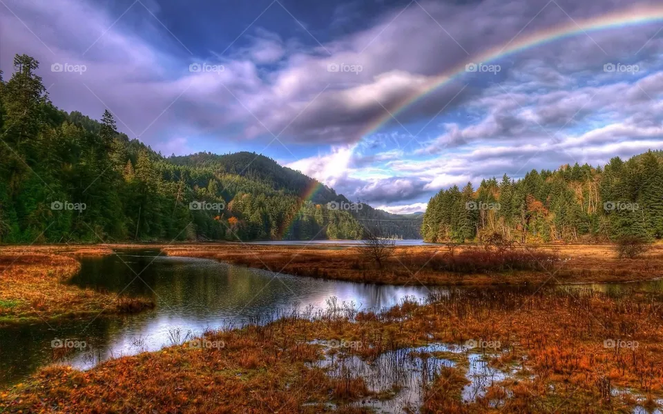 Rainbow 