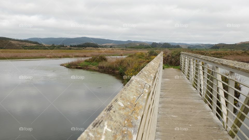 Woodbridge, footbridge or a pedestrian bridge in a marsh, used for hiking and bird watching