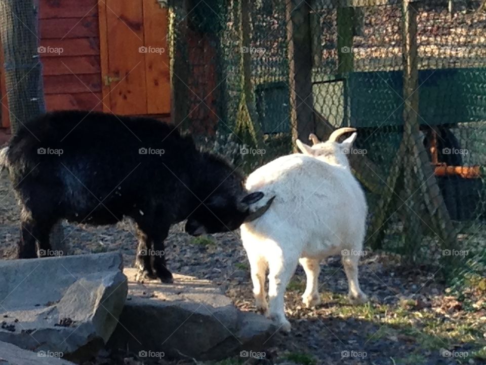 I scratch your back, you scratch mine. Got it?