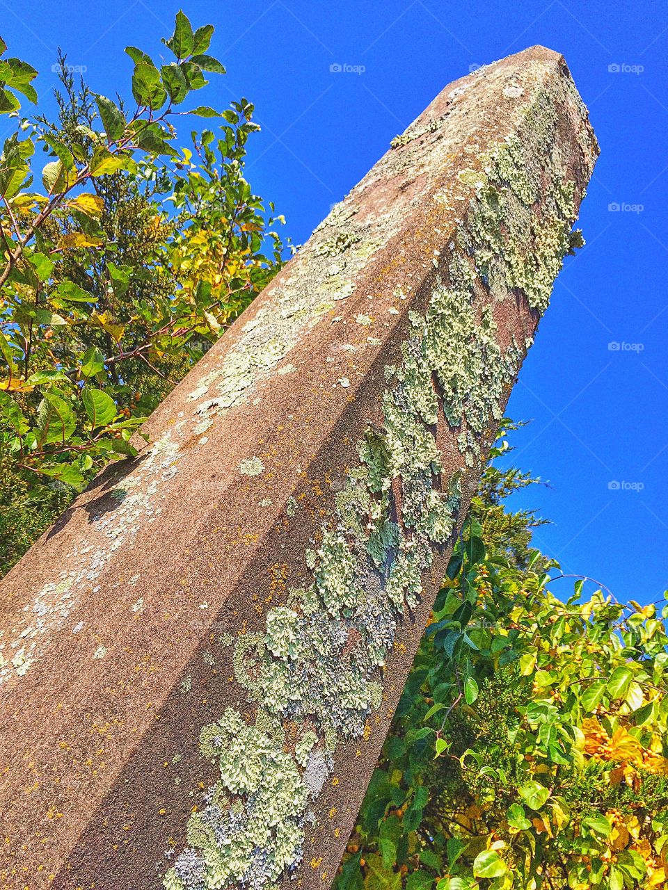 Union Cemetery...