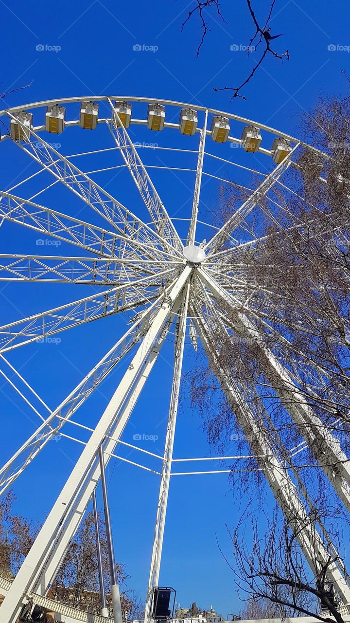 Budapest Eye from Hungary